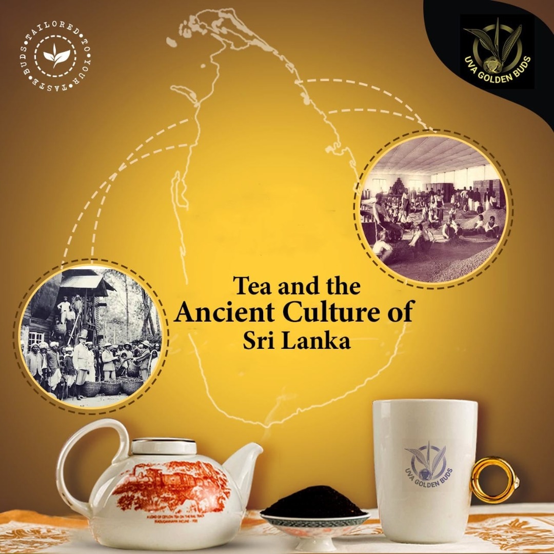 Tea and the Ancient Culture of Sri Lanka