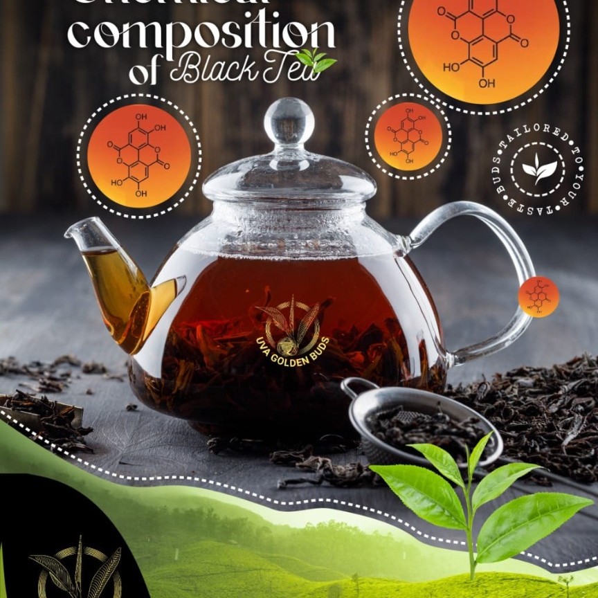 Fermentation Process of Black Tea Manufacturing