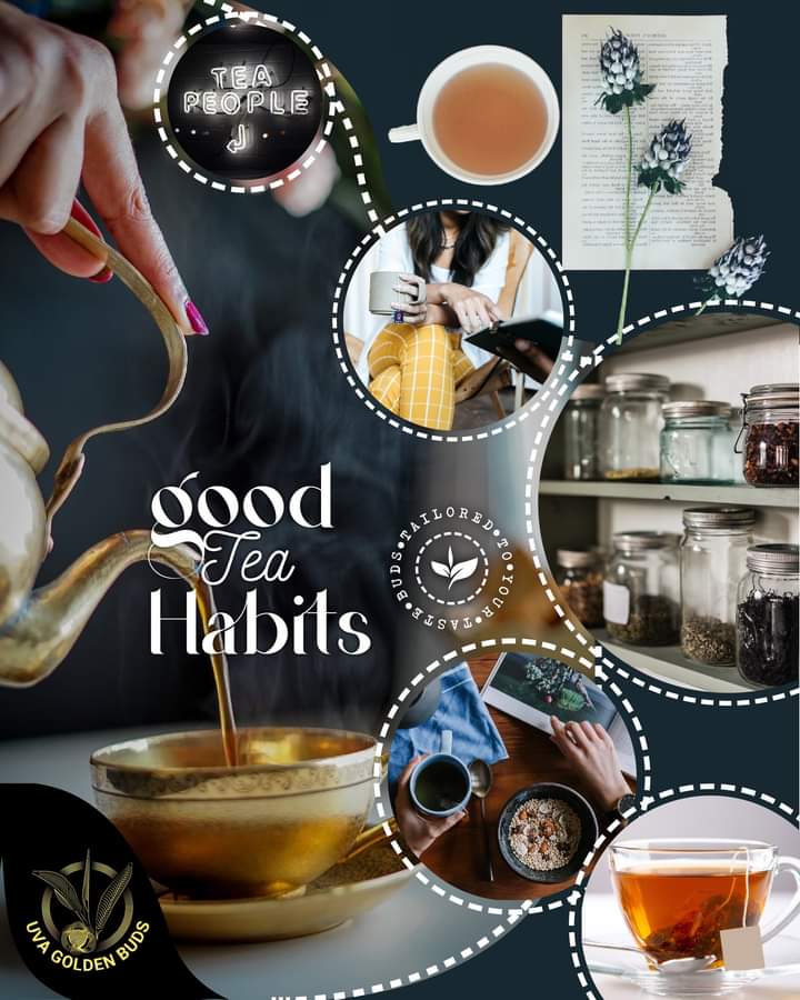 Good Tea Habits – Path To Have a Best Cup of Tea