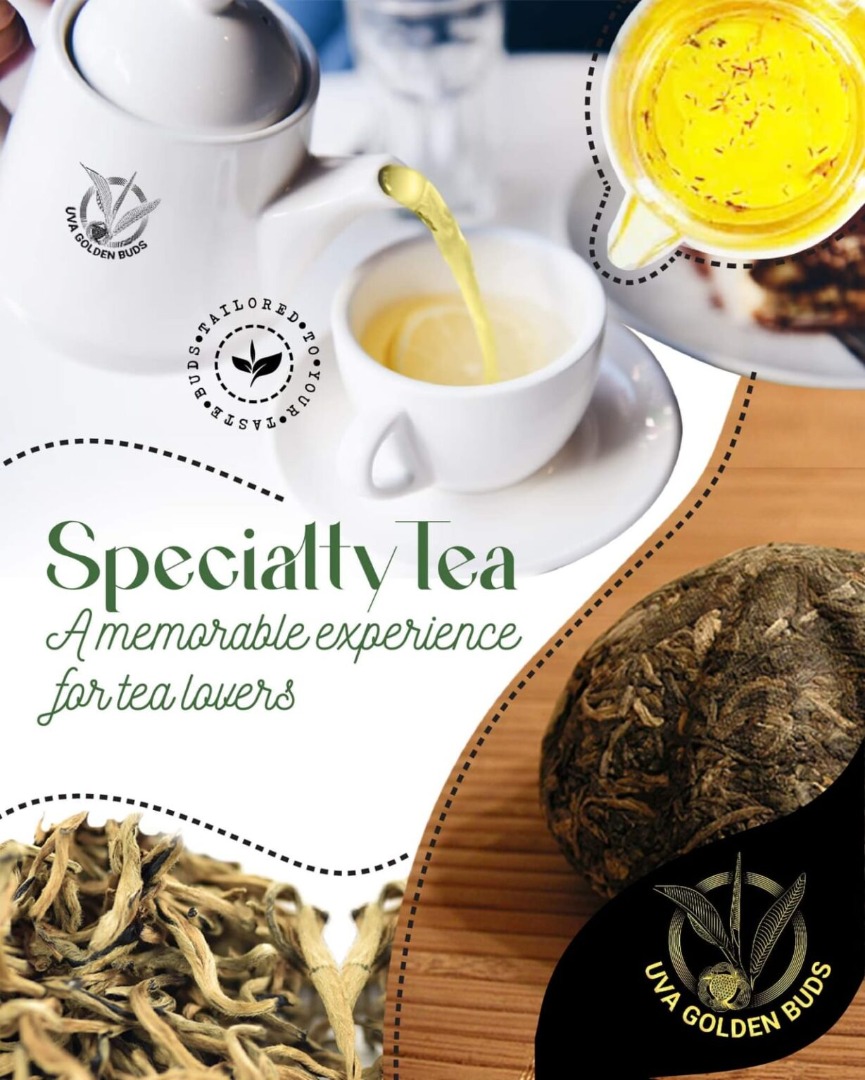 Specialty Tea – A Memorable Experience For Tea Lovers